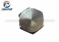 Edelstahl SS304 ASTM F593B/kalter schmiedender Hexen-Bolzen SS304L