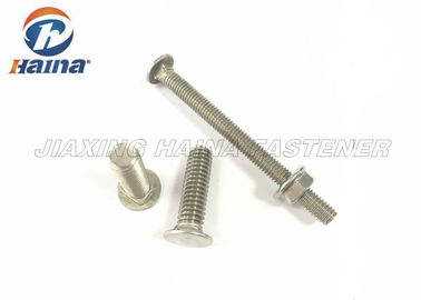 Flache Hauptstahlschlossschraube A270/304 DIN608 Stainaless mit quadratischem Hals